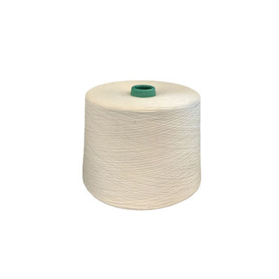 High Continuous 120D/2 Fancy Viscose Yarn White 300D Polyester Ring O/E 40S/1 Yarn Viscose Filament Yarn